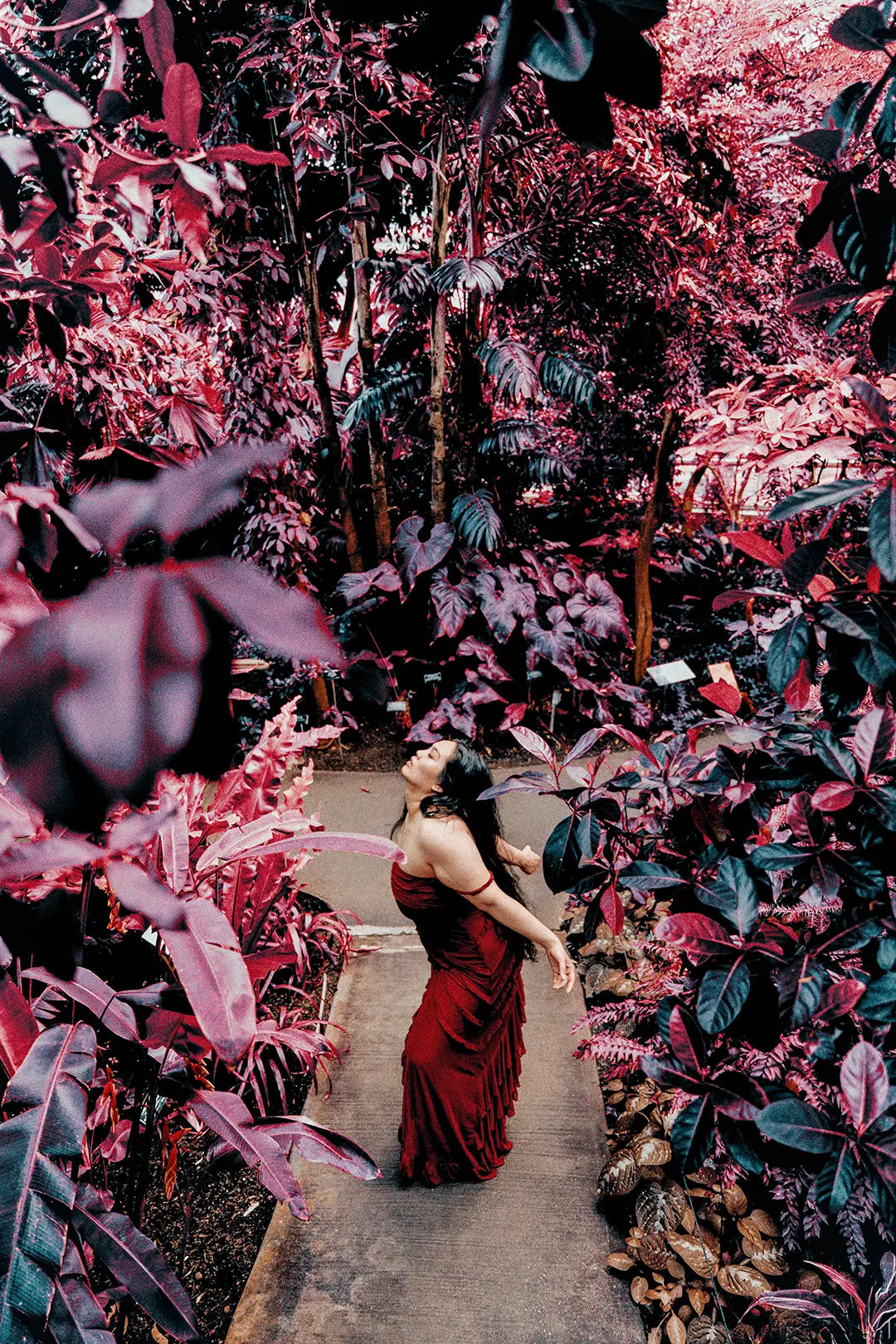 Magic AI Aerochrome Presets