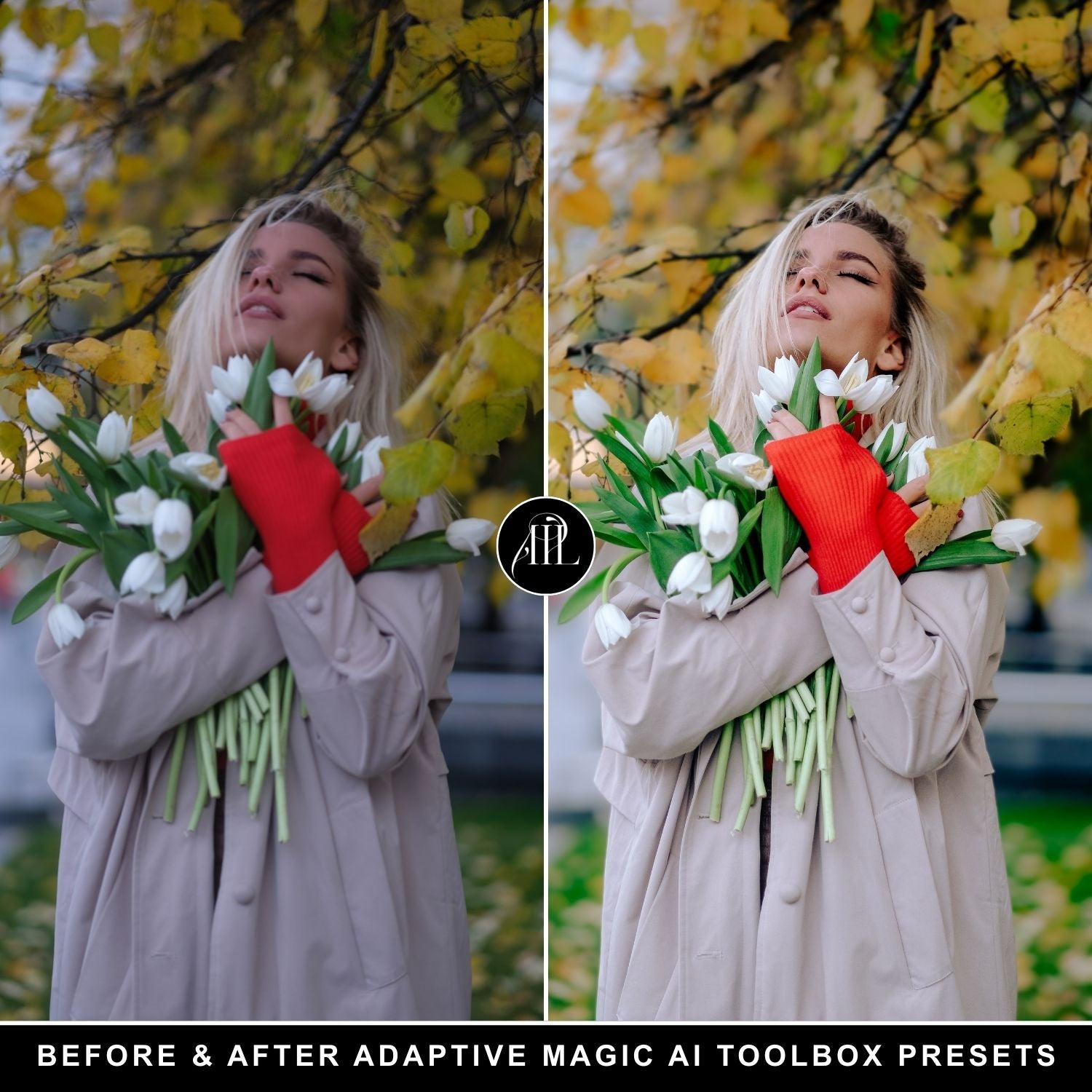 Adaptive Magic AI Toolbox Presets