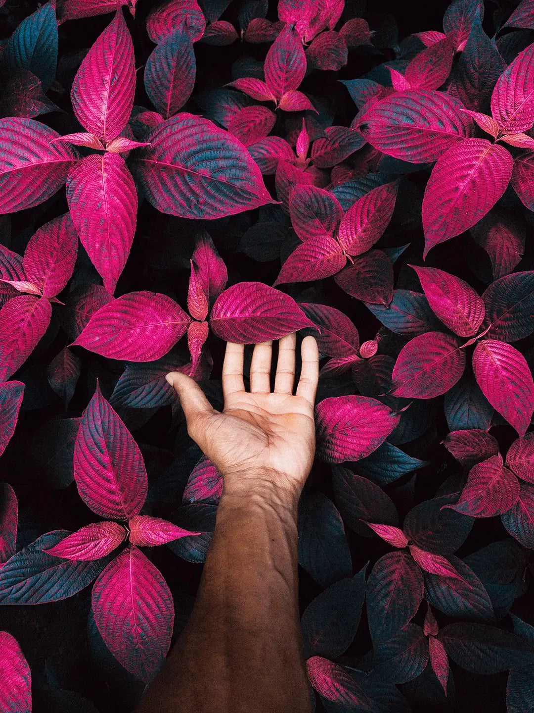 Aerochrome-After-15.webp