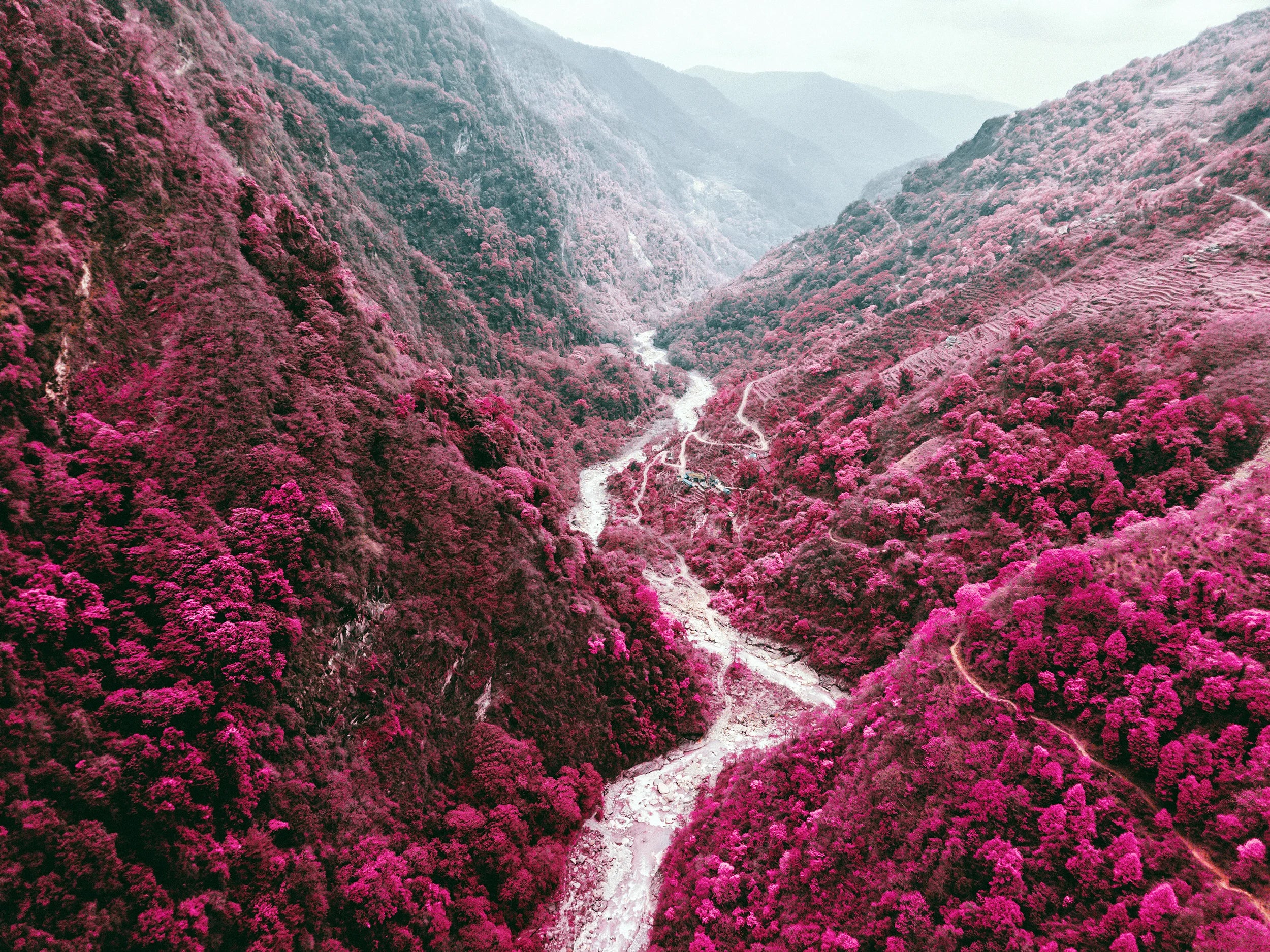 Aerochrome-After-21.webp