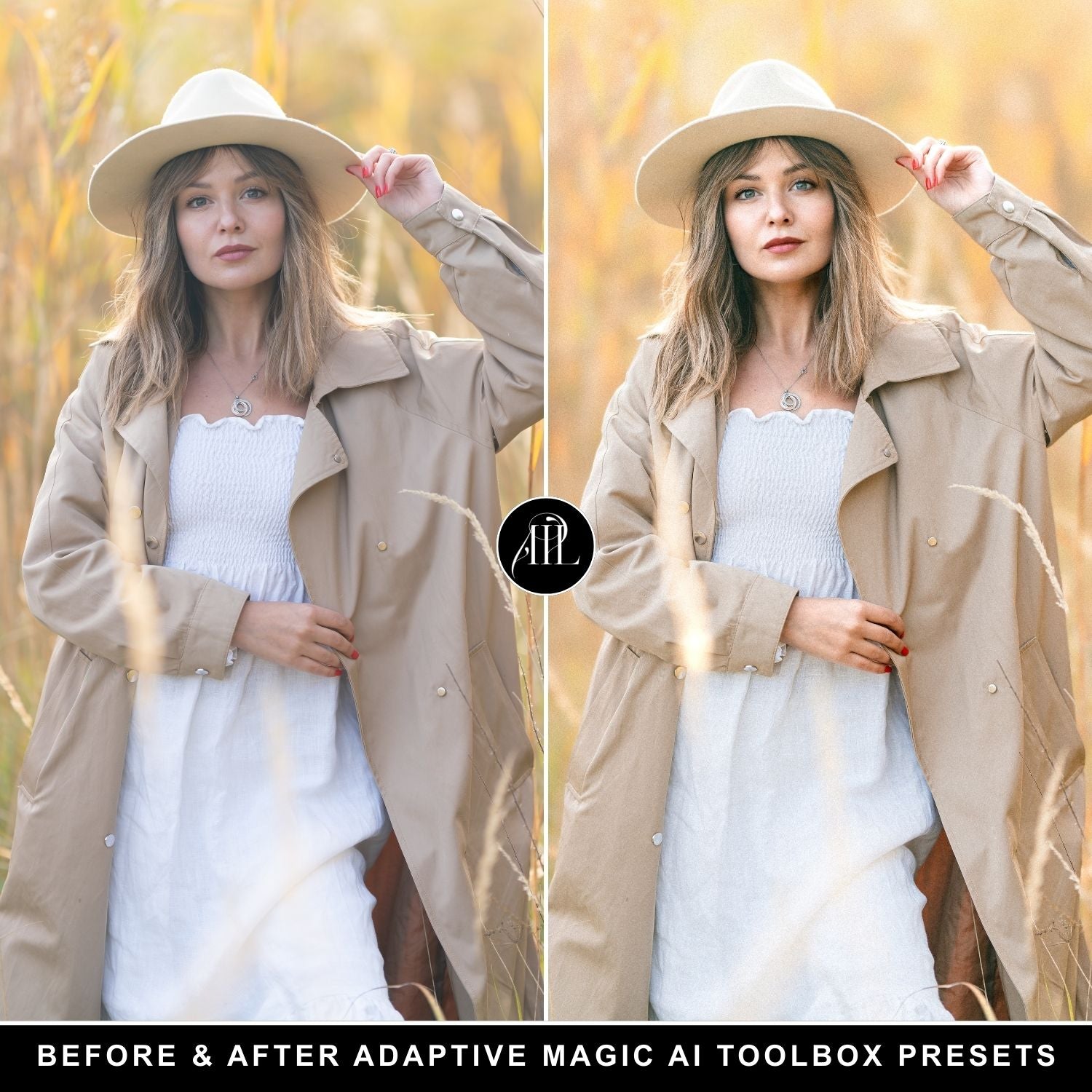 Adaptive Magic AI Toolbox Presets