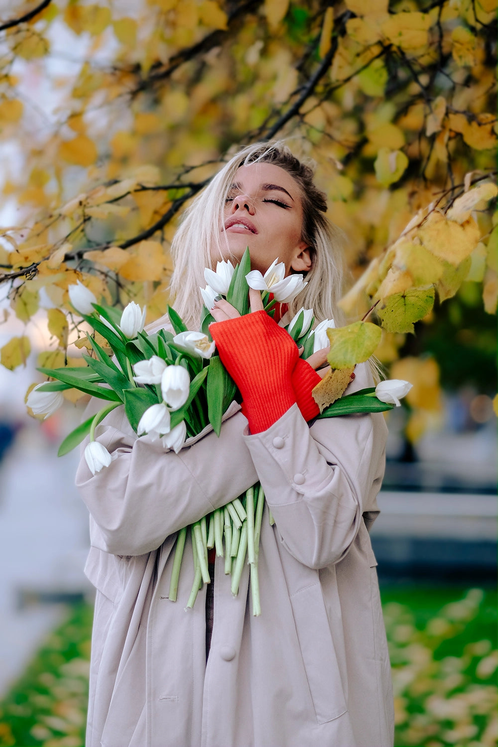 Adaptive Magic AI Toolbox Presets